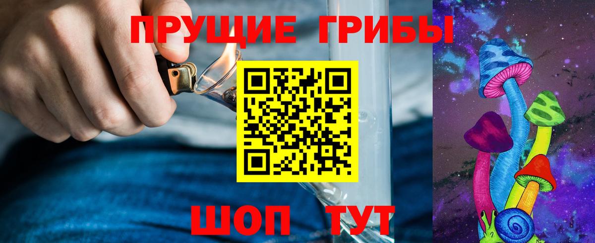 Галлюциногенные грибы Cubensis  Вход с VPN  продажа наркотиков  Псилоцибиновые грибы мицелий  Благовещенск 